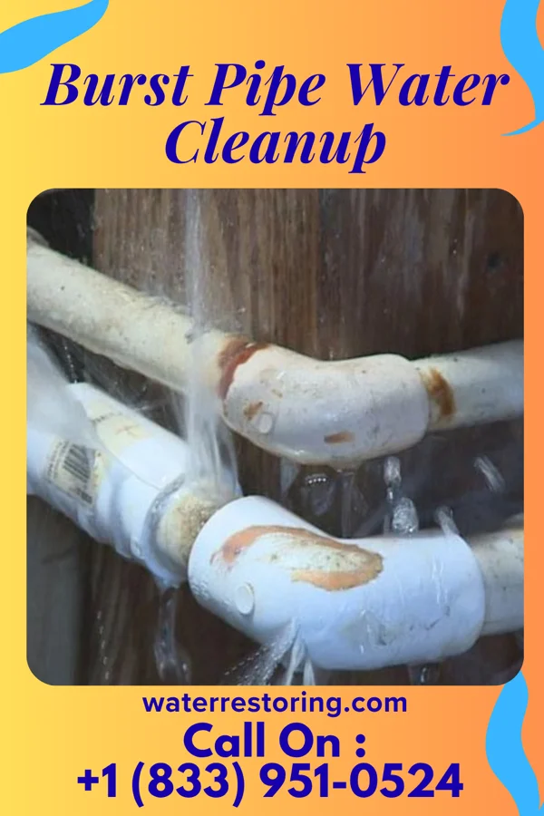 Burst Pipe Water Cleanup in Keystone, WV