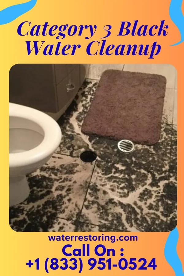 Category 3 Black Water Cleanup in Keystone, WV
