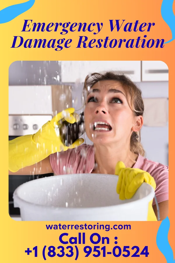 Emergency Water Damage Restoration in Keystone, WV