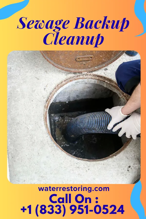 Sewage Backup Cleanup in Keystone, WV