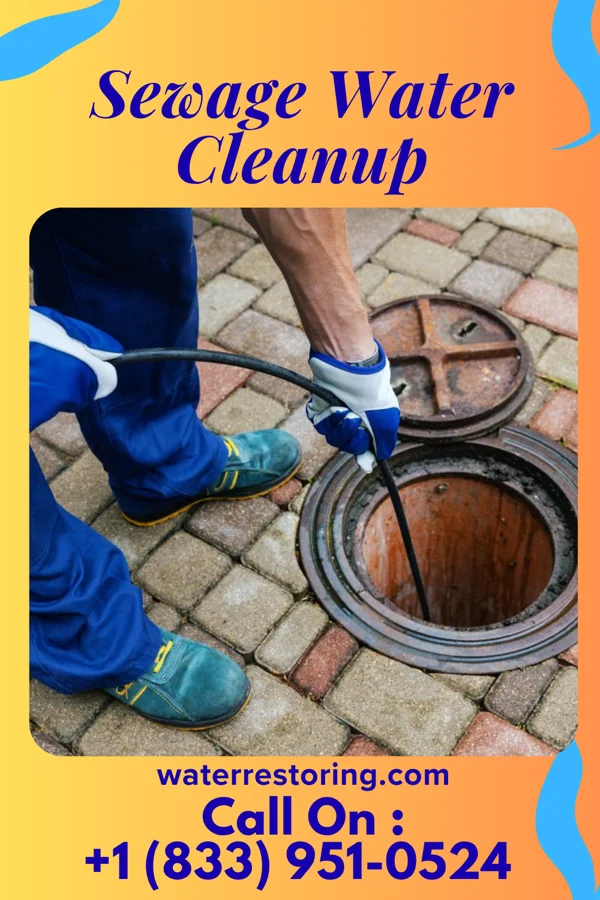 Sewage Water Cleanup in Keystone, WV