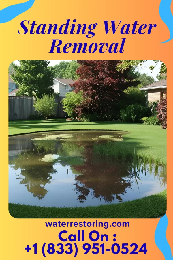 Standing Water Removal in Keystone, WV